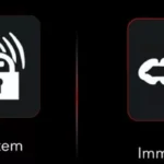 Immobilizer & Alarm System