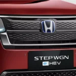 Platinum Chrome Grille